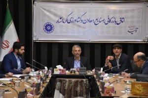 Kermanshah will own a dedicated health tourism organization